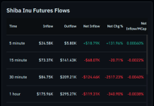 Shiba Inu Merchants Withdraw 204 Billion SHIB Amid Sharp Drop In Futures Exercise