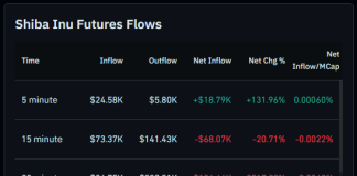 Shiba Inu Merchants Withdraw 204 Billion SHIB Amid Sharp Drop In Futures Exercise Shiba Inu Merchants Withdraw 204 Billion SHIB Amid Sharp Drop In Futures Exercise