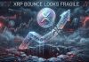 XRP Worth Bounce Seems Fragile, Contemporary Decline Dangers Start Rising