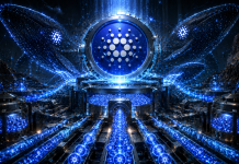 Cardano Millionaire Wallets Attain Highest ADA Holdings Since 2017 Cardano Millionaire Wallets Attain Highest ADA Holdings Since 2017