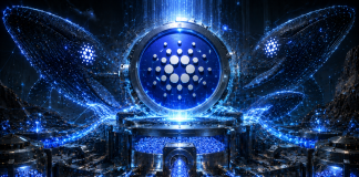 Cardano Millionaire Wallets Attain Highest ADA Holdings Since 2017