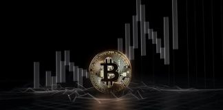 Analyst Compares This Bitcoin Bear Market To Earlier Cycles To Present What’s Coming Subsequent