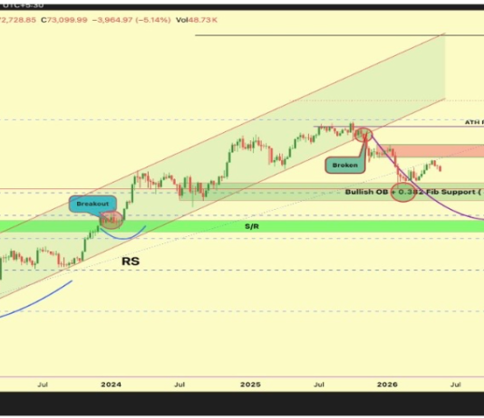 The Bitcoin ‘Dream Entry’ To Wait For Earlier than The Run-Up To $300,000