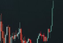 Might XRP Hit $10 This Bull Run? World’s Highest IQ Holder Thinks So