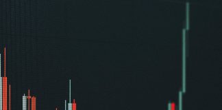 Might XRP Hit $10 This Bull Run? World’s Highest IQ Holder Thinks So Might XRP Hit $10 This Bull Run? World’s Highest IQ Holder Thinks So