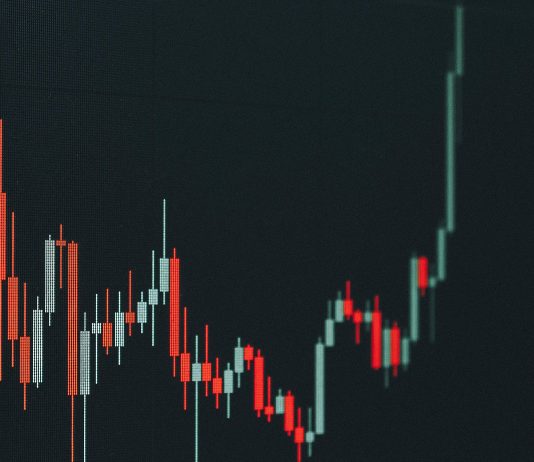 Might XRP Hit $10 This Bull Run? World’s Highest IQ Holder Thinks So