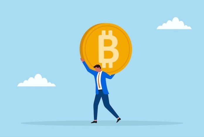 Bitcoin Registers File 15.8M Lengthy-Time period Holders Amid Worth Decline – Right here’s Why