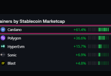 Cardano Takes The Lead As Stablecoin Market Valuation Rises 61%