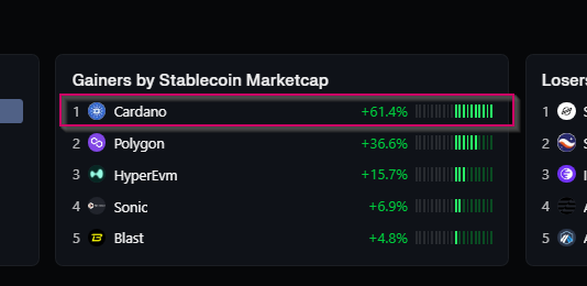 Cardano Takes The Lead As Stablecoin Market Valuation Rises 61% Cardano Takes The Lead As Stablecoin Market Valuation Rises 61%