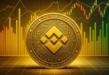 BNB Prolonged Value Goal Says $780 Is Coming, However What About $1,000?