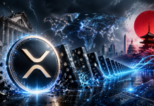 XRP To $1,000? Knowledgeable Lays Out Macro Domino Principle XRP To $1,000? Knowledgeable Lays Out Macro Domino Principle
