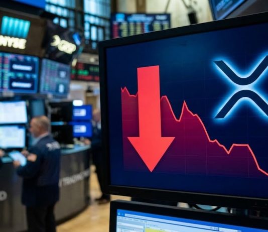 XRP Worth Slips Again Into Hazard Territory With Bears In Management