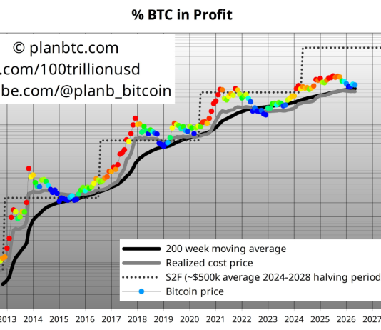 Bitcoin Backside Not In But? Analyst Sees Greater Odds Of Drop Under $61Okay
