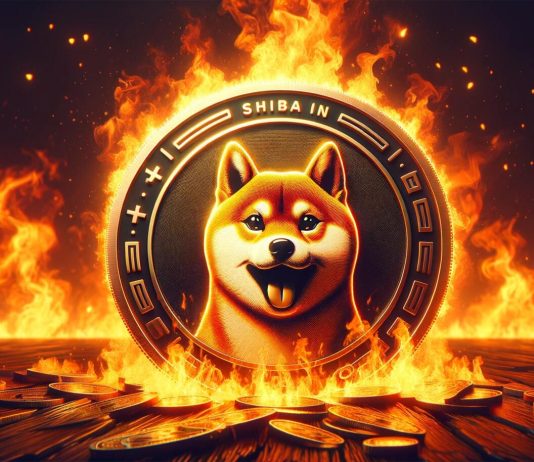 The Finish Of An Period? Shiba Inu Burns Sluggish To A Crawl As Traders Lose Curiosity