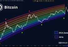 The Bitcoin Bear Market Is Over: Right here’s The place We Are In The Cycle