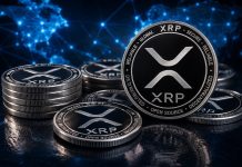 Analyst Calls Out Stagnant Logic Being Used On XRP, Predicts When Value Will Rally To $300