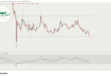If XRP Value Loses This Present Help, This Is How Low It Will Go