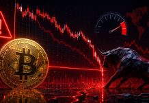 Bitcoin’s Most Vital Metric Flashes Warning As Bulls Struggle To Maintain $60Okay