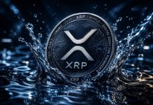 Establishments Are Loading Up On XRP, However Liquidity Tells A Completely different Story