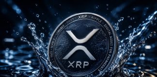 Establishments Are Loading Up On XRP, However Liquidity Tells A Completely different Story