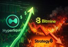 Hyperliquid Methods Stays Worthwhile: Technique And Bitmine File Losses Above $10 Billion