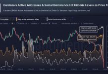 Cardano Crashes To five-12 months Lows As Hoskinson’s Warning Sparks Market Panic