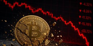 Analyst Who Predicted the Bitcoin Crash Says Value May Attain $40,000, Right here’s When Analyst Who Predicted the Bitcoin Crash Says Value May Attain $40,000, Right here’s When