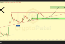 XRP’s Decade Of Success: Analyst Says This Is When Value Will Contact $10-$20 XRP’s Decade Of Success: Analyst Says This Is When Value Will Contact $10-$20