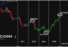 Analyst Predicts When Bitcoin Value Will Attain $100,000 In 2026