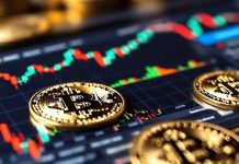 Bitcoin’s June Massacre Defined: Causes, Market Impression, And Outlook Bitcoin’s June Massacre Defined: Causes, Market Impression, And Outlook