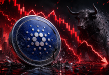 Cardano Worth Crash Exposes ADA’s Deeper Drawback, Says Longtime Bull