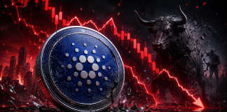 Cardano Worth Crash Exposes ADA’s Deeper Drawback, Says Longtime Bull