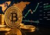 Dangerous Information For Bitcoin: Historic Lows Present The Backside Really Lies Under $30,000