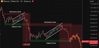 Has The Bitcoin Worth Crash Ended Or Is This Simply The Starting? Analyst Solutions