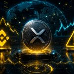 XRP Simply Printed A Uncommon Binance Sign As Market Volatility Accelerates