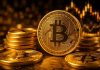 Not $60,000: Analyst Reveals The Finest Time To Really Begin Shopping for Bitcoin