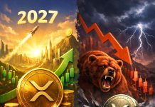 XRP Might Attain $10 By 2027—However Bearish Circumstances May Push It Beneath $1, Professional Says