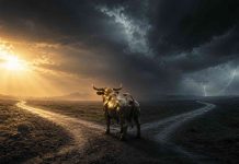Is the Crypto Bull Market Over? Why This 50% Crash Is Completely different From 2018 and 2022 Is the Crypto Bull Market Over? Why This 50% Crash Is Completely different From 2018 and 2022