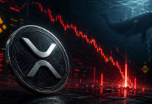 XRP Promote-Off Pushed By Liquidations, Not Whale Dumping: On-Chain Knowledge