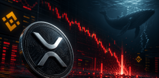 XRP Promote-Off Pushed By Liquidations, Not Whale Dumping: On-Chain Knowledge