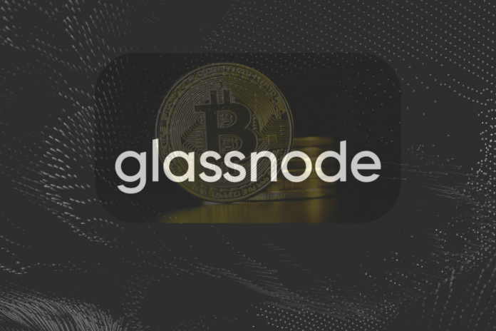 Bitcoin Stabilizes Close to Key Zone, However Glassnode Warns Capital Flows Stay Weak