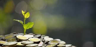 Humanity Protocol Plans New H Token After $36 Million Key Compromise Humanity Protocol Plans New H Token After $36 Million Key Compromise