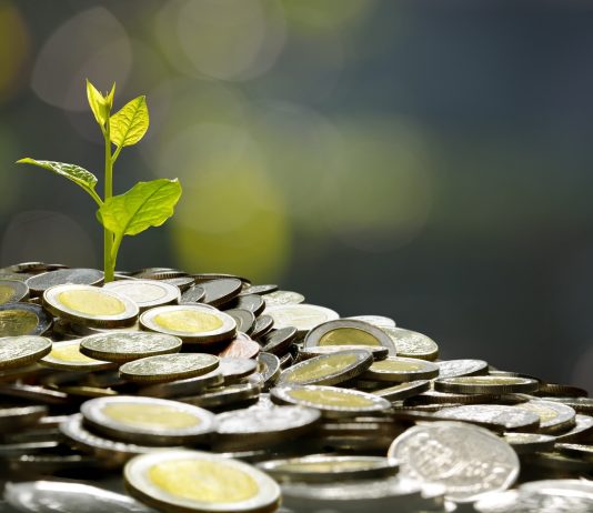Humanity Protocol Plans New H Token After $36 Million Key Compromise