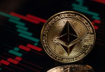 SIREN Token Crashes 95% After Whale Dumps 670 Million Tokens SIREN Token Crashes 95% After Whale Dumps 670 Million Tokens