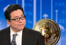 Tom Lee’s BitMine Says ETH Holdings Have Reached 5.67 Million Tokens Tom Lee’s BitMine Says ETH Holdings Have Reached 5.67 Million Tokens