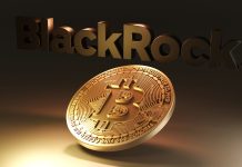 BlackRock Says 1% To 2% Bitcoin Allocation Is Affordable For Conventional Portfolios BlackRock Says 1% To 2% Bitcoin Allocation Is Affordable For Conventional Portfolios