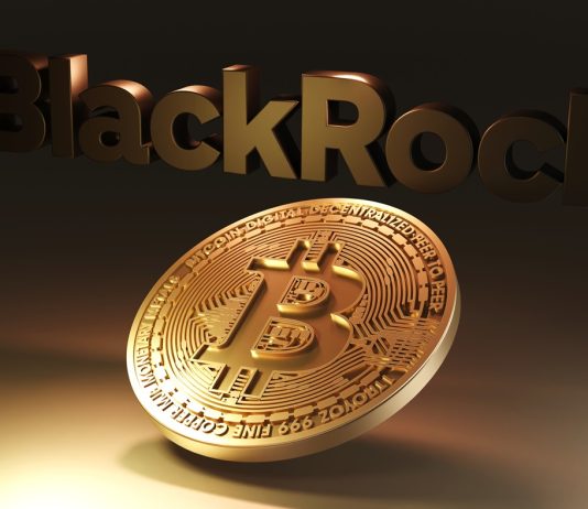 BlackRock Says 1% To 2% Bitcoin Allocation Is Affordable For Conventional Portfolios BlackRock Says 1% To 2% Bitcoin Allocation Is Affordable For Conventional Portfolios