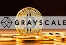 Grayscale Says Income-Producing Crypto Protocols Look Attractively Valued