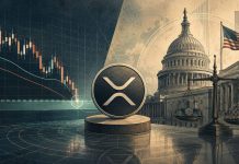 XRP Worth Prediction: Can the CLARITY Act Gas Restoration as XRP Nears Vital $1.02 Confluence Help?