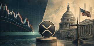 XRP Worth Prediction: Can the CLARITY Act Gas Restoration as XRP Nears Vital $1.02 Confluence Help?